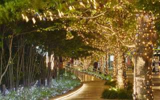 屋外照明を見る