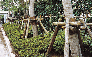 緑化資材を見る