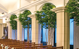 人工植物を見る