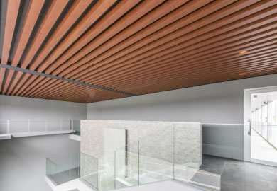 エバーアートウッドを見る