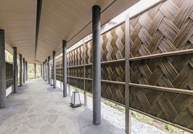 エバーバンブーを見る