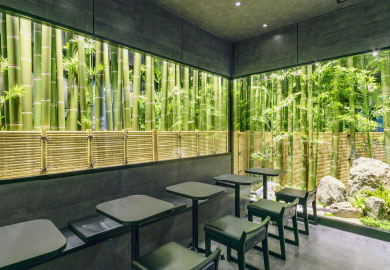 人工植物を見る